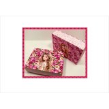 自分で作ろう♪収納BOX＊プリンセス＊2種類＊素材セット＊ オリジナル