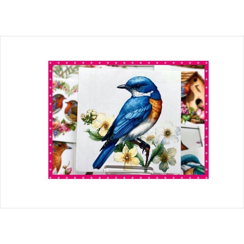 画像4: カットシール＊鳥と花＊36枚＊オリジナル