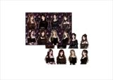 ガール＊ゴシックローズ＊コラージュペーパー＊4枚＊オリジナル