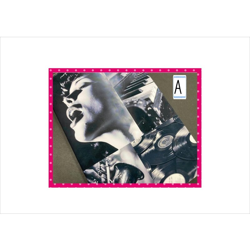 画像6: ブックカバー＊単行本＊ブルース＊２冊分＊ オリジナル