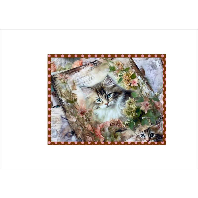画像5: フラワーキャット＊正方形＊ペーパーセット＊柄違い40枚＊オリジナル