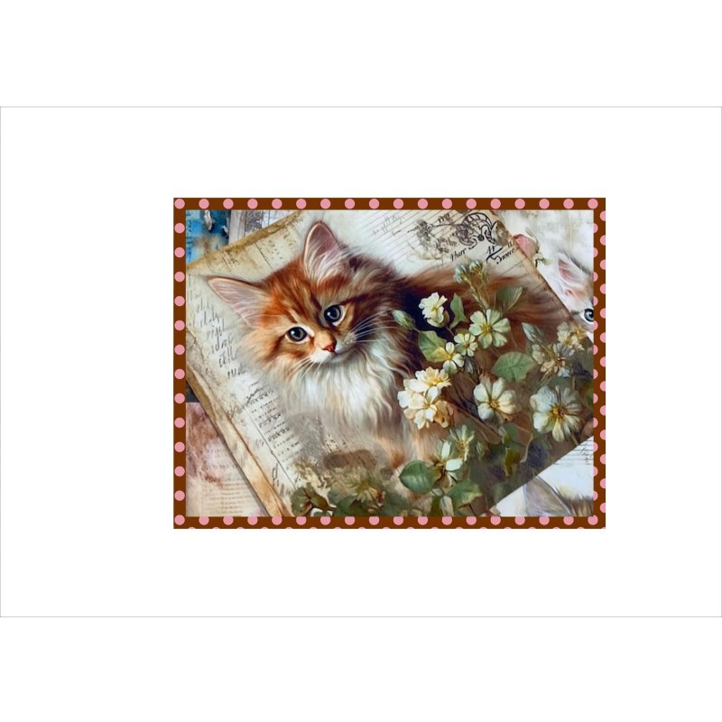 画像8: フラワーキャット＊正方形＊ペーパーセット＊柄違い40枚＊オリジナル