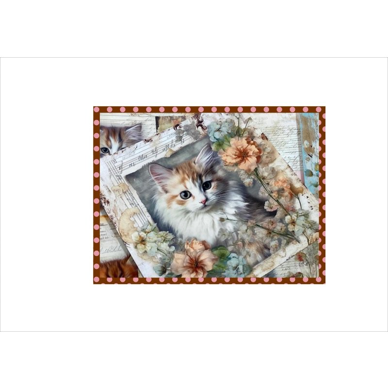 画像4: フラワーキャット＊正方形＊ペーパーセット＊柄違い40枚＊オリジナル