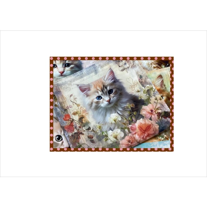 画像7: フラワーキャット＊正方形＊ペーパーセット＊柄違い40枚＊オリジナル