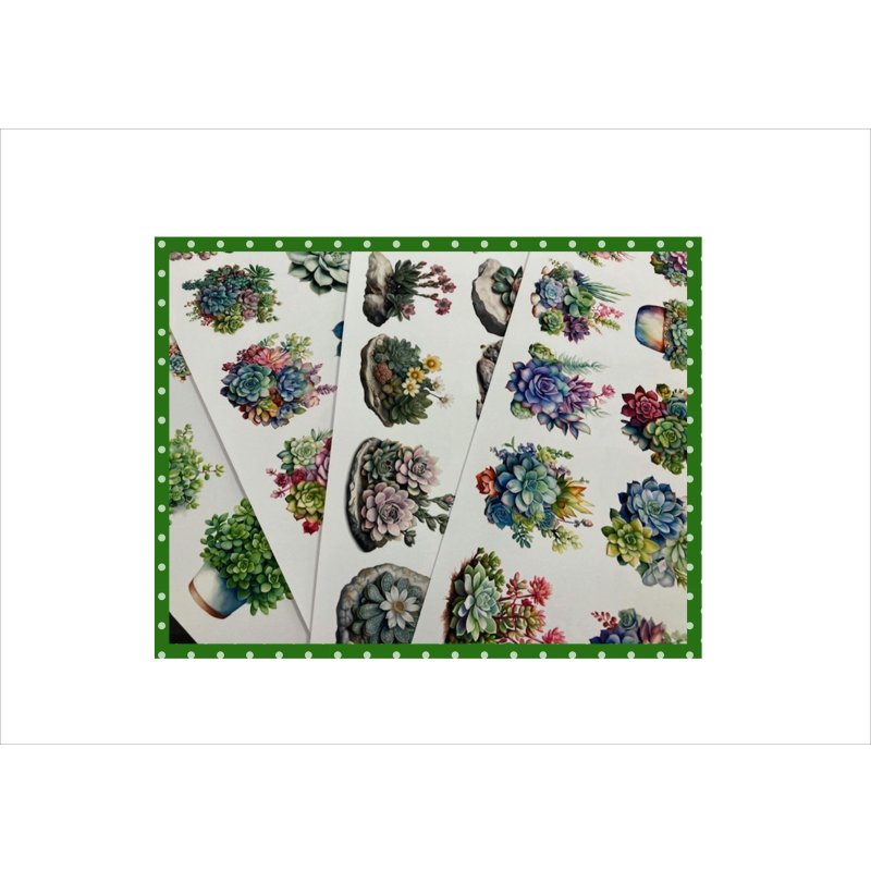 画像2: パーツ＊多肉植物＊コラージュペーパー＊柄違い＊4枚＊オリジナル