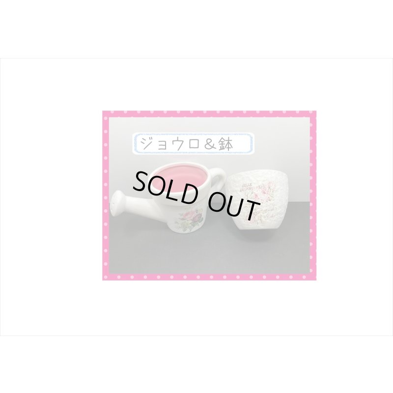 画像6: 福袋☆ガーデニング6点