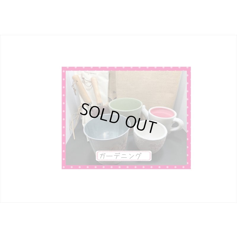 画像2: 福袋☆ガーデニング6点