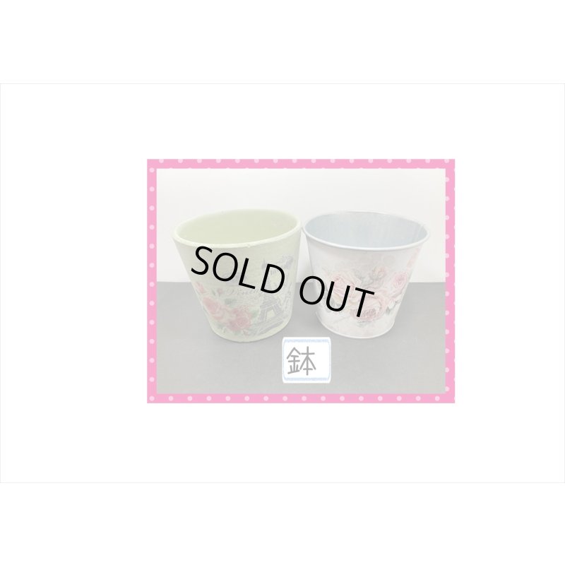 画像7: 福袋☆ガーデニング6点