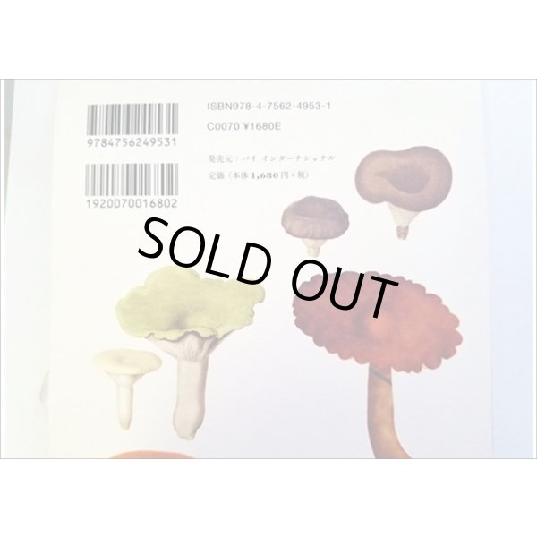 画像3: 便せんになったよ★いろんなキノコ★　100枚レターブック　 (3)