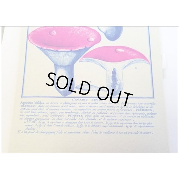 画像11: 便せんになったよ★いろんなキノコ★　100枚レターブック　 (11)