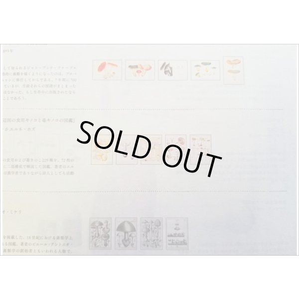 画像6: 便せんになったよ★いろんなキノコ★　100枚レターブック　 (6)