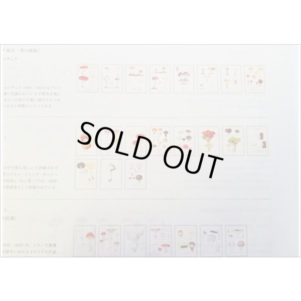 画像4: 便せんになったよ★いろんなキノコ★　100枚レターブック　 (4)