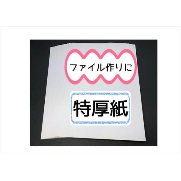 ☆厚紙（特厚） 台紙☆１０枚セット ペーパーファイル おすそ分け