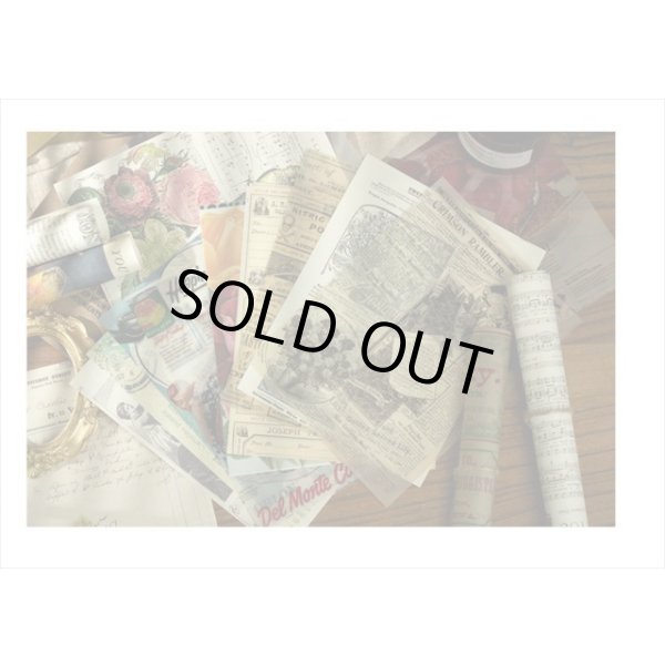 画像9: 豪華な2種のペーパーセット＊MUSIC＊20枚＊海外製 (9)