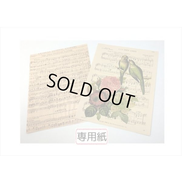 画像4: 豪華な2種のペーパーセット＊MUSIC＊20枚＊海外製 (4)