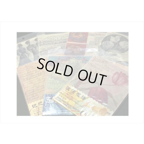 画像11: 豪華な2種のペーパーセット＊MUSIC＊20枚＊海外製 (11)