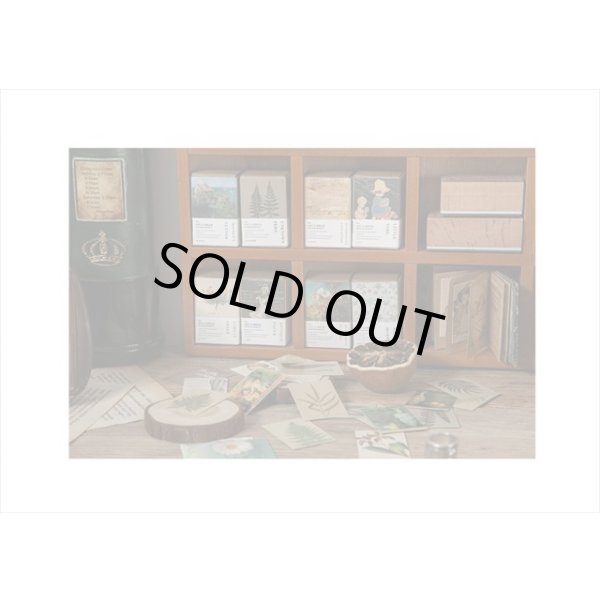 画像9: どっちを使う？モネの絵ハガキ＊2種の紙＊両面＊200柄（100枚）💓箱入り＊海外製　クリックポスト不可 (9)