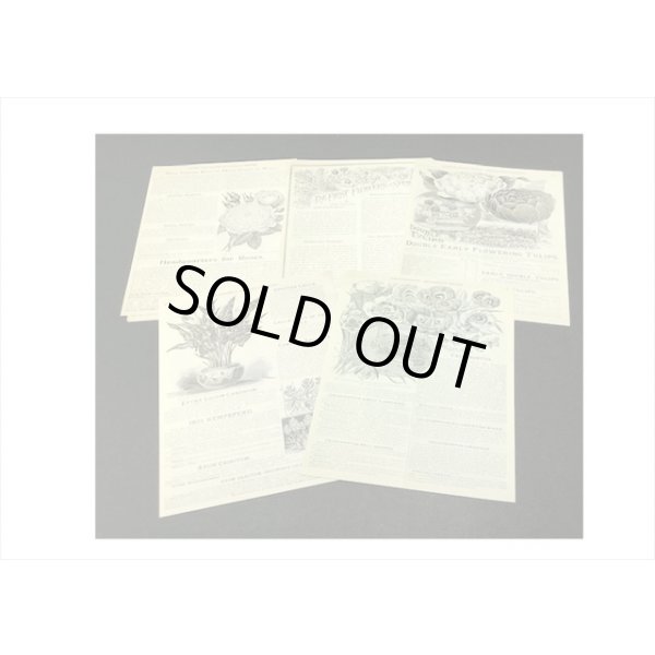 画像5: アジのある紙＊花の歴史＊60枚＊海外製 (5)