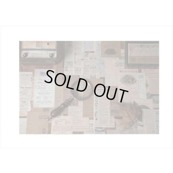 画像11: ホテルメニュー＊アンティークブックストア＊2種の紙＊60枚＊海外製 (11)