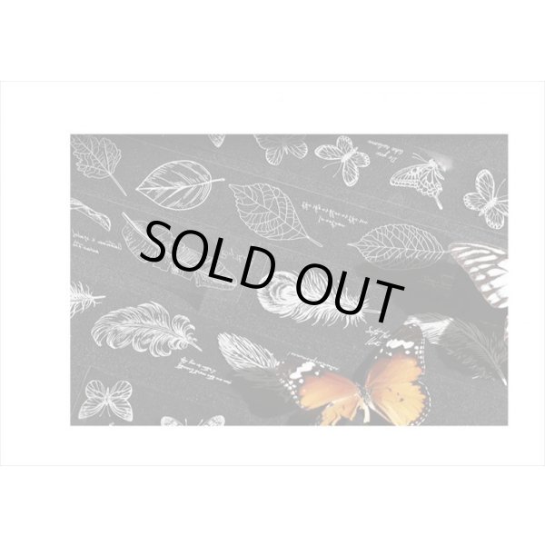 画像14: 芭蕉　透明マステ　PETテープ　はく離式　海外製　クリックポスト不可 (14)