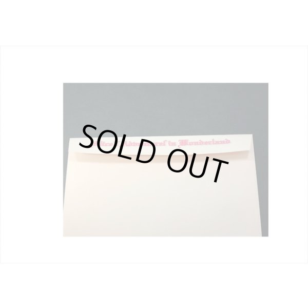 画像8: 訳アリ！在庫限り＊ピンク💓B5が入る封筒＊アリス3種＊オリジナル (8)