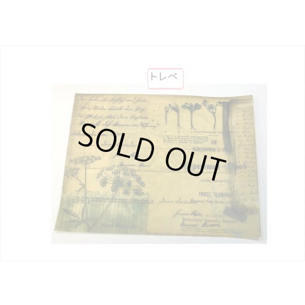 画像9: トレペ入りペーパーセット＊BINGO＊柄違い8枚＊海外製 (9)