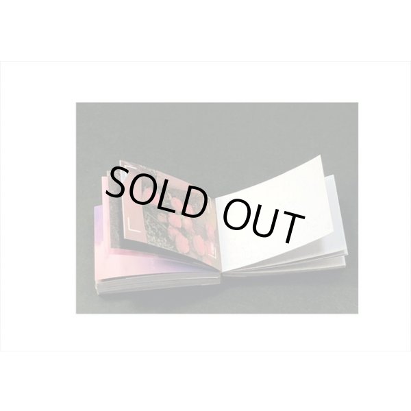 画像5: ちびシールブック*薔薇と風景*80枚* 海外製 (5)