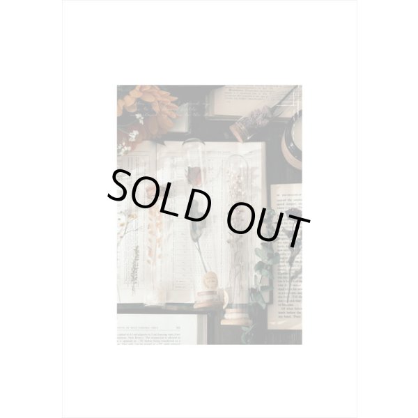 画像9: ドライフラワー＊古いノート＊大きな台紙セット＊透明シール＊海外製 (9)