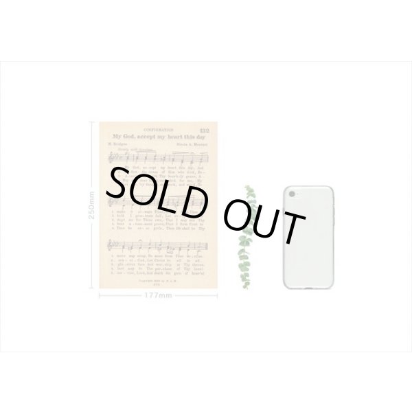 画像5: ドライフラワー＊古いノート＊大きな台紙セット＊透明シール＊海外製 (5)