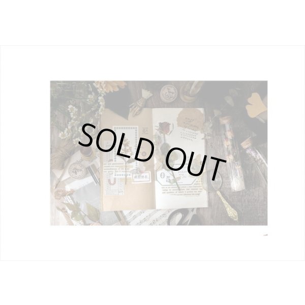 画像10: ドライフラワー＊古いノート＊大きな台紙セット＊透明シール＊海外製 (10)