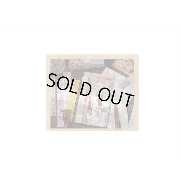 画像8: 縦長シール＊世界地図＊30枚入り＊海外製 (8)