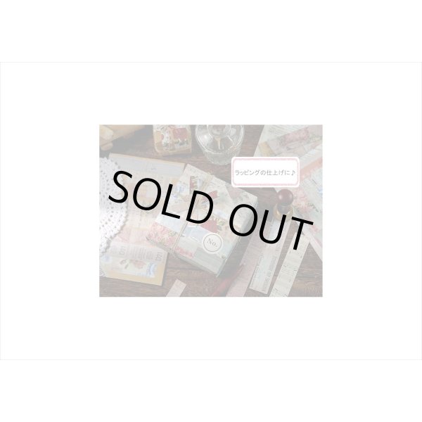 画像6: 縦長シール＊世界地図＊30枚入り＊海外製 (6)