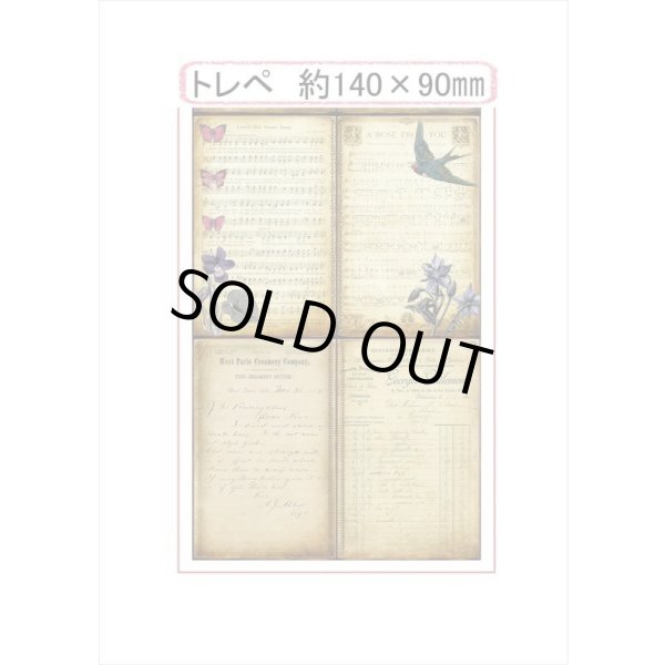 画像7: いろいろセット❕花と蝶＊トレペにシールも♪ペーパーセット＊55枚＊海外製 (7)