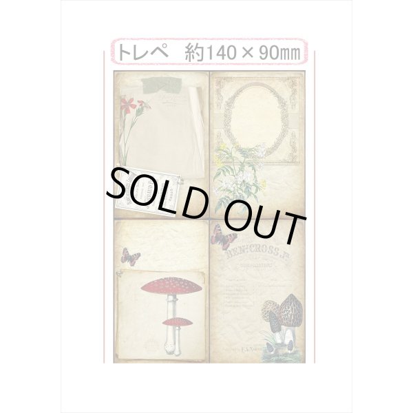 画像6: いろいろセット❕花と蝶＊トレペにシールも♪ペーパーセット＊55枚＊海外製 (6)