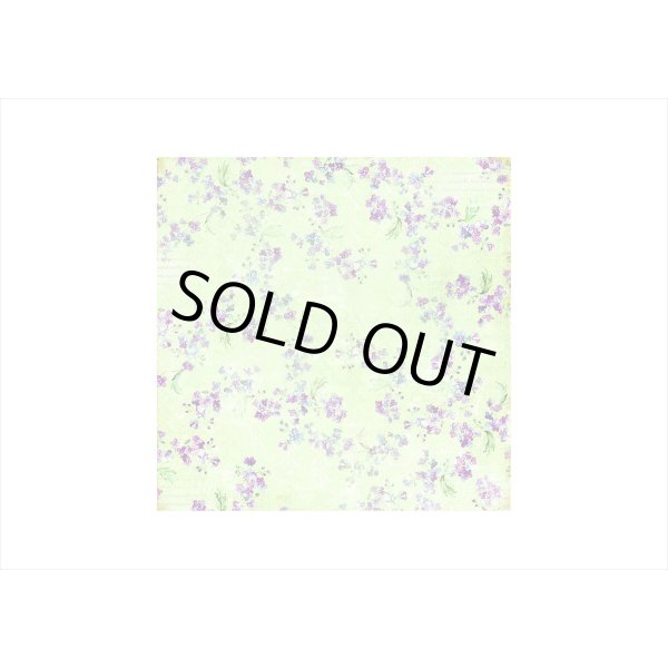 画像7: 紙モノ好きにはたまらない＊Alice＊パターンペーパー＊24枚＊海外製 (7)