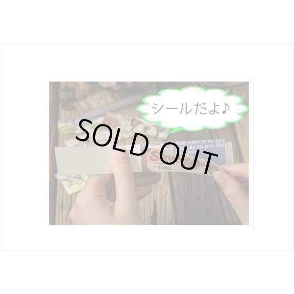 画像8: ちっちゃなシールブック＊クーポン＊50枚＊海外製 (8)