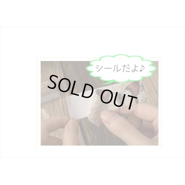 画像10: ちっちゃなシールブック＊タイムボックス＊50枚＊海外製 (10)