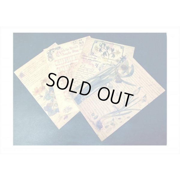 画像5: トレペ封筒入り＊楽譜＊クラフトペーパーセット＊10枚＊海外製 (5)