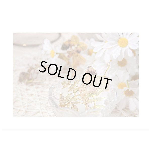 画像16: 金箔・防水＊花の妖精＊オレンジ＊PETシール＊海外製 (16)