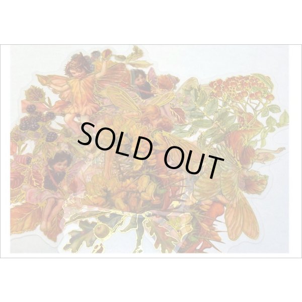 画像7: 金箔・防水＊花の妖精＊オレンジ＊PETシール＊海外製 (7)