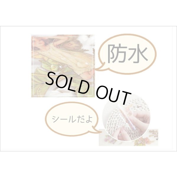 画像9: 金箔・防水＊花の妖精＊オレンジ＊PETシール＊海外製 (9)