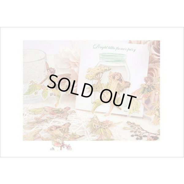 画像15: 金箔・防水＊花の妖精＊オレンジ＊PETシール＊海外製 (15)