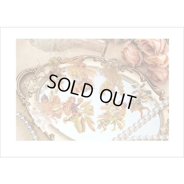 画像12: 金箔・防水＊花の妖精＊オレンジ＊PETシール＊海外製 (12)