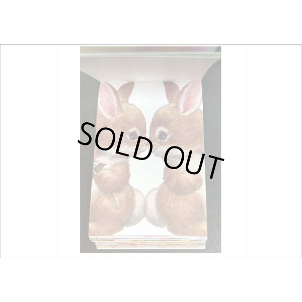 画像5: miniペーパー帳＊レトロアニマル＊100枚＊海外製 (5)