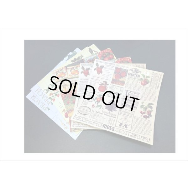 画像3: 大きなシールシート🍒フルーツ🍒折り紙サイズ＊８枚入り＊海外製 (3)