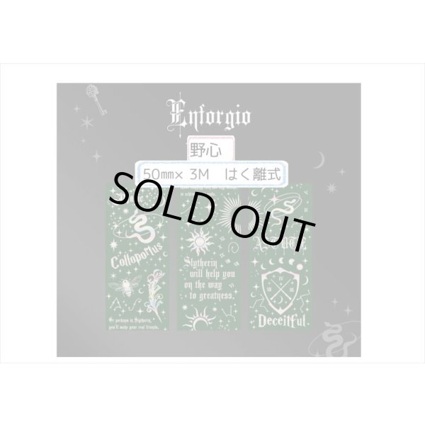 画像5: ホログラム＊野心・グリーン＊魔法入門＊はく離式＊海外マステ (5)