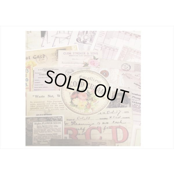 画像14: ペーパーいろいろセット＊4・フラワー＊窓付きクラフト封入り＊海外製 (14)