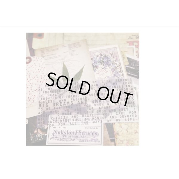 画像17: ペーパーいろいろセット＊4・フラワー＊窓付きクラフト封入り＊海外製 (17)