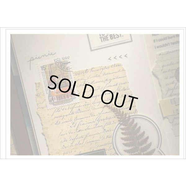 画像14: ヴィンテージ風ペーパーセット＊春の日記＊60枚＊海外製 (14)