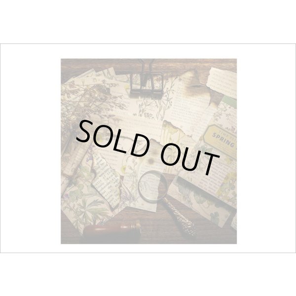 画像12: ヴィンテージ風ペーパーセット＊春の日記＊60枚＊海外製 (12)